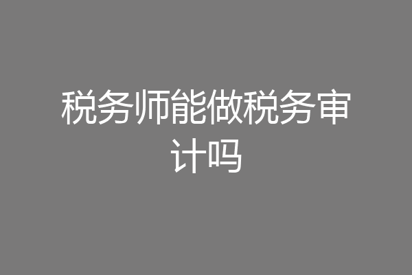 税务师能做税务审计吗