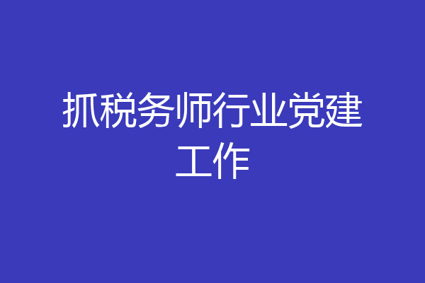 抓税务师行业党建工作