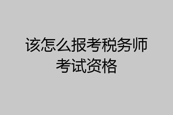 该怎么报考税务师考试资格