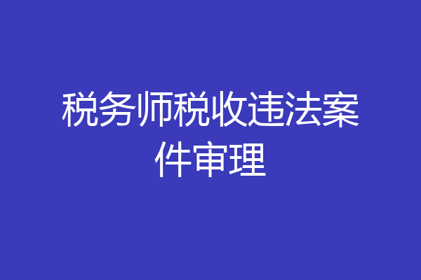 税务师税收违法案件审理