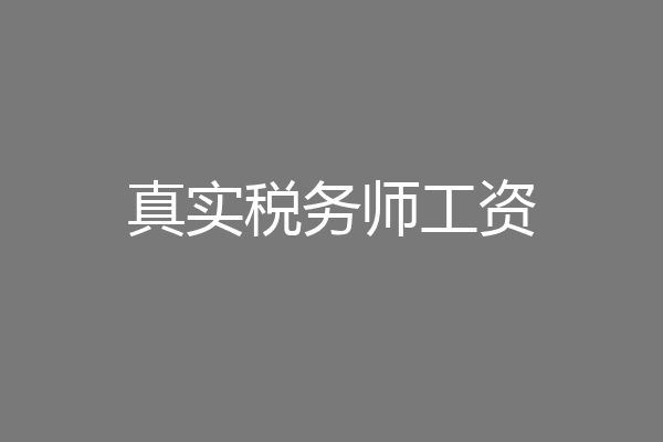 真实税务师工资