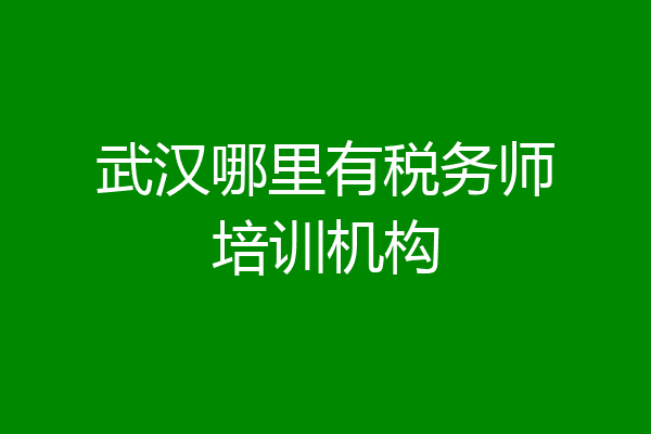 武汉哪里有税务师培训机构
