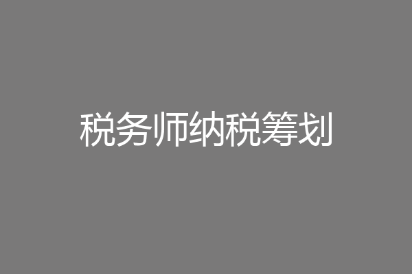 税务师纳税筹划