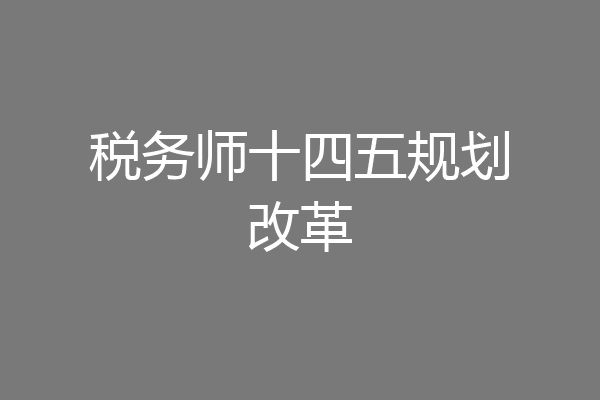 税务师十四五规划改革