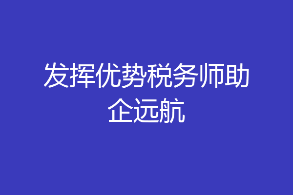 发挥优势税务师助企远航