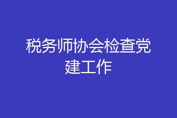 税务师协会检查党建工作