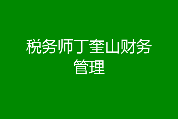 税务师丁奎山财务管理