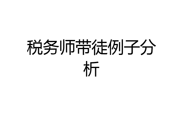 税务师带徒例子分析