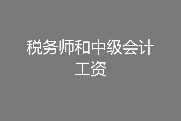 税务师和中级会计工资