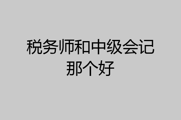 税务师和中级会记那个好
