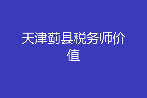 天津蓟县税务师价值
