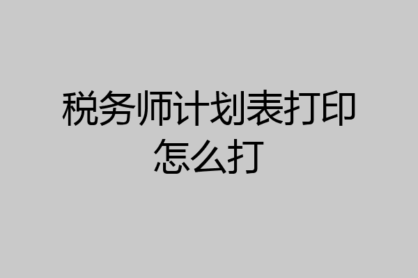 税务师计划表打印怎么打