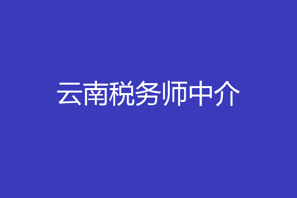 云南税务师中介