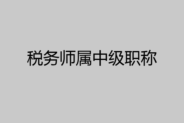 税务师属中级职称