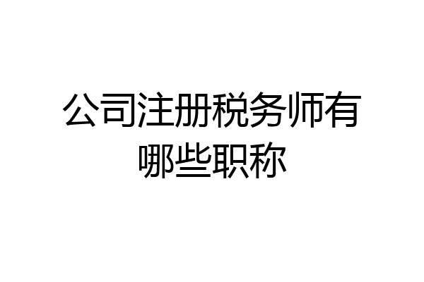公司注册税务师有哪些职称
