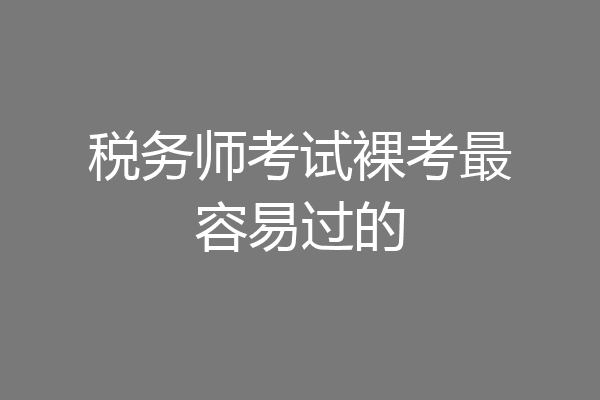 税务师考试裸考最容易过的