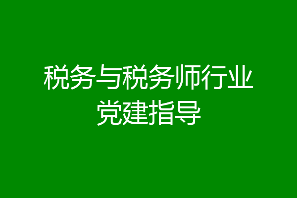 税务与税务师行业党建指导