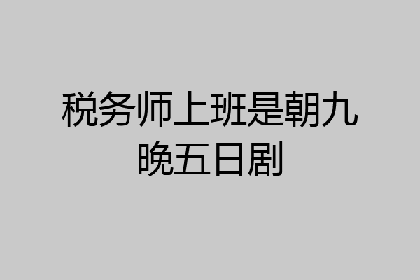 税务师上班是朝九晚五日剧