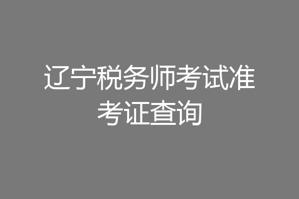 辽宁税务师考试准考证查询