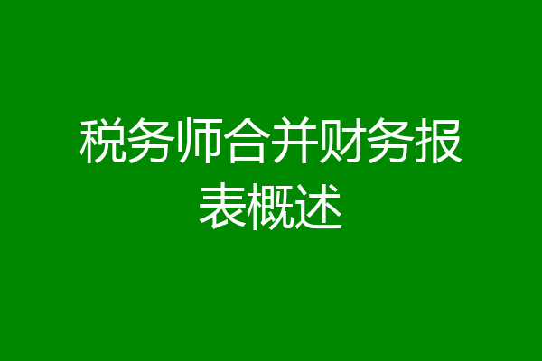 税务师合并财务报表概述