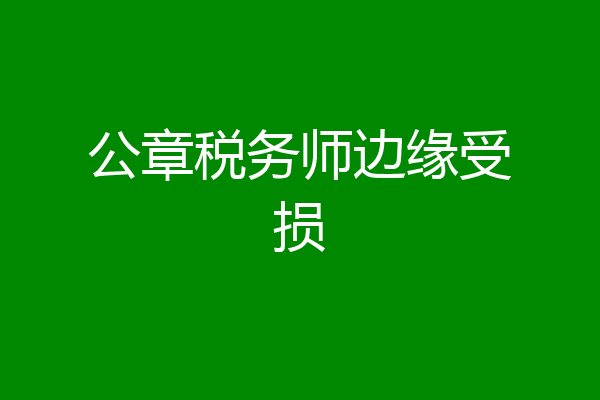 公章税务师边缘受损