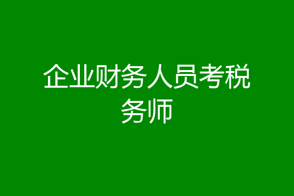 企业财务人员考税务师