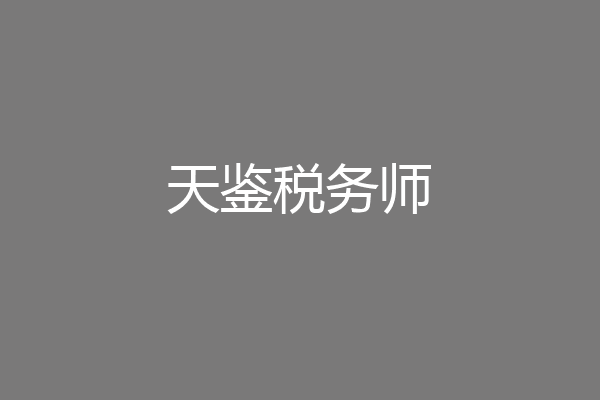 天鉴税务师