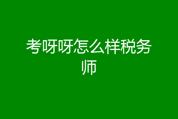 考呀呀怎么样税务师