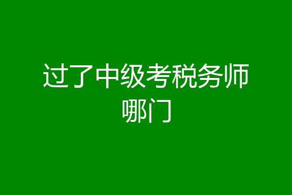 过了中级考税务师哪门