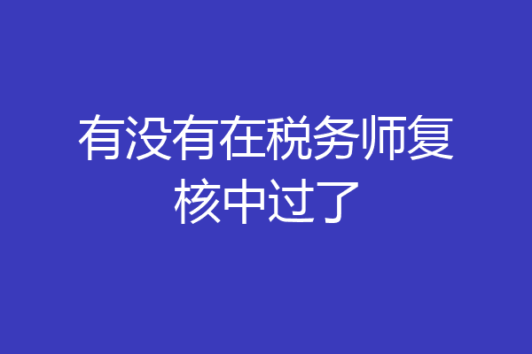 有没有在税务师复核中过了