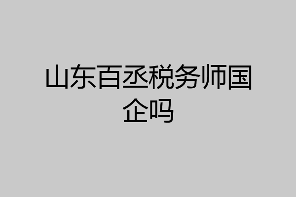 山东百丞税务师国企吗