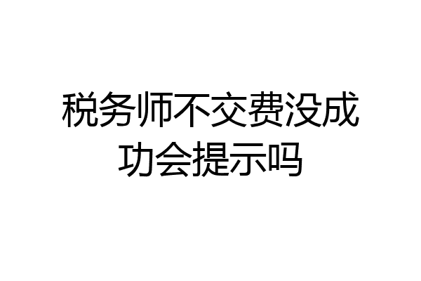 税务师不交费没成功会提示吗