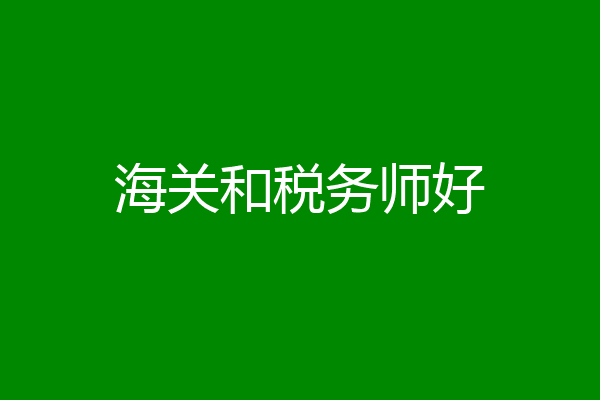海关和税务师好