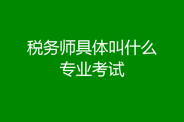 税务师具体叫什么专业考试