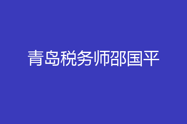 青岛税务师邵国平