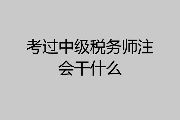 考过中级税务师注会干什么