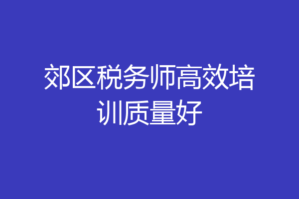 郊区税务师高效培训质量好