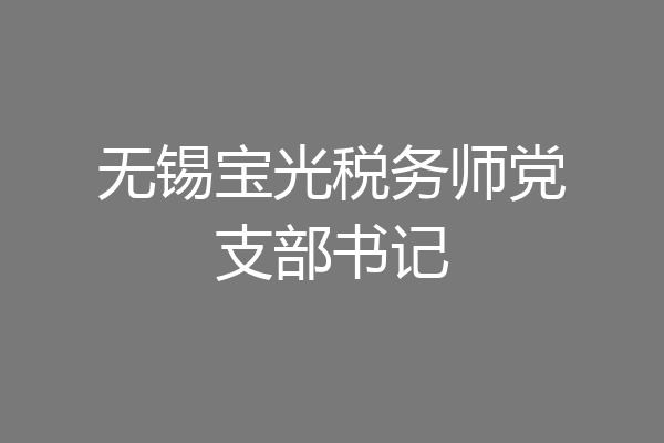 无锡宝光税务师党支部书记