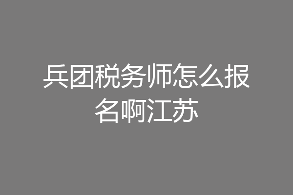 兵团税务师怎么报名啊江苏