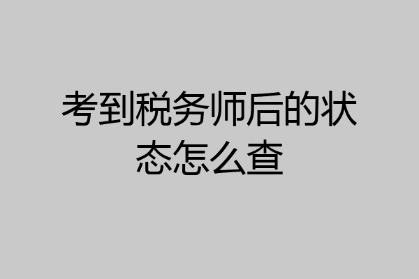 考到税务师后的状态怎么查