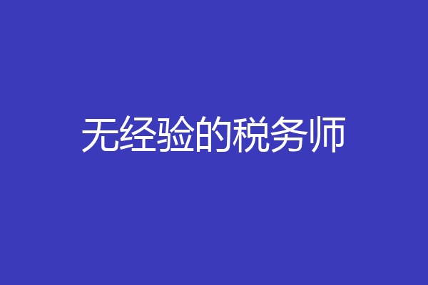 无经验的税务师