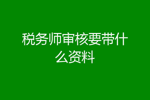 税务师审核要带什么资料