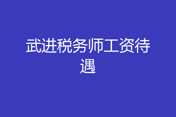武进税务师工资待遇