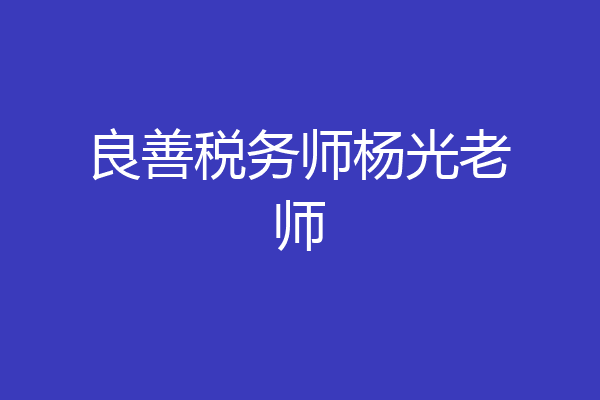 良善税务师杨光老师