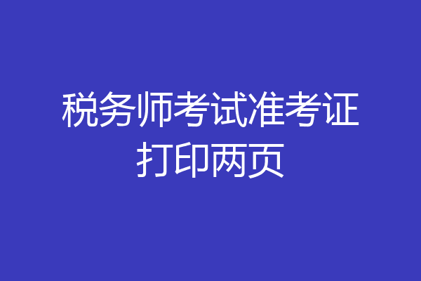 税务师考试准考证打印两页