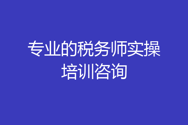 专业的税务师实操培训咨询