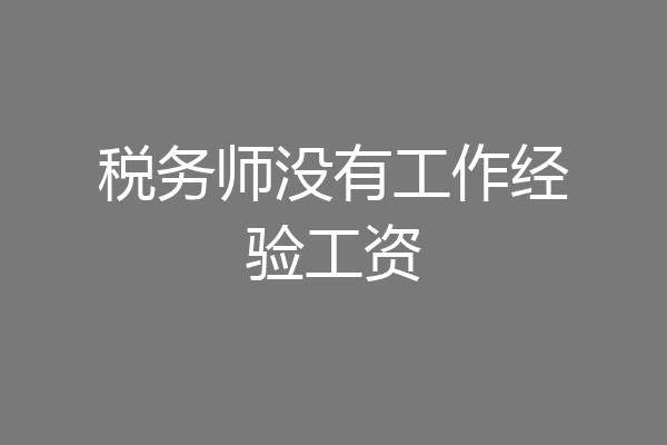 税务师没有工作经验工资