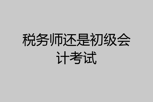 税务师还是初级会计考试