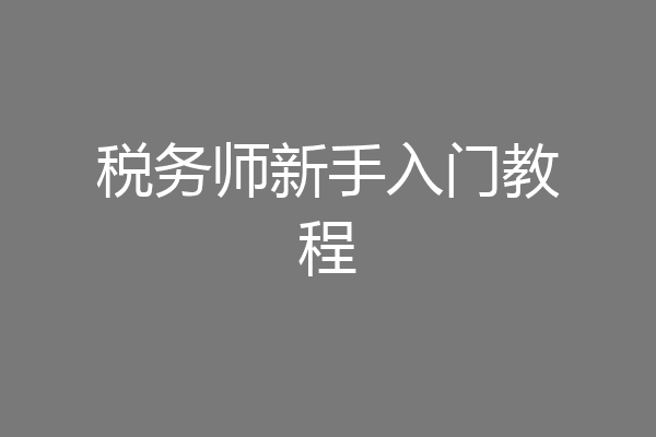 税务师新手入门教程
