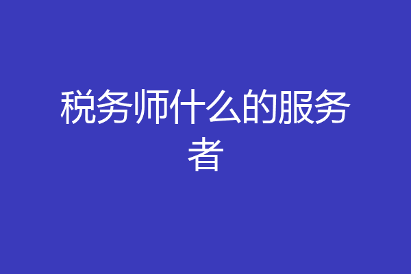 税务师什么的服务者
